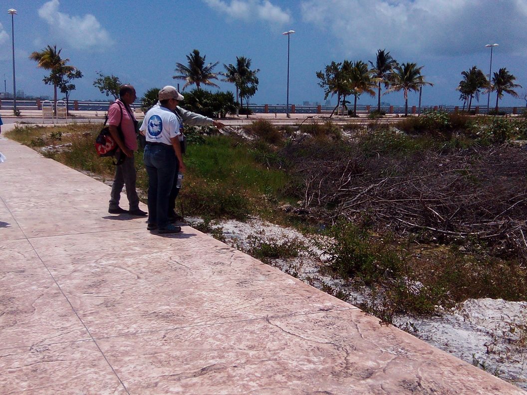 Inspección en la zona del Malecón Tajamar Cancún.