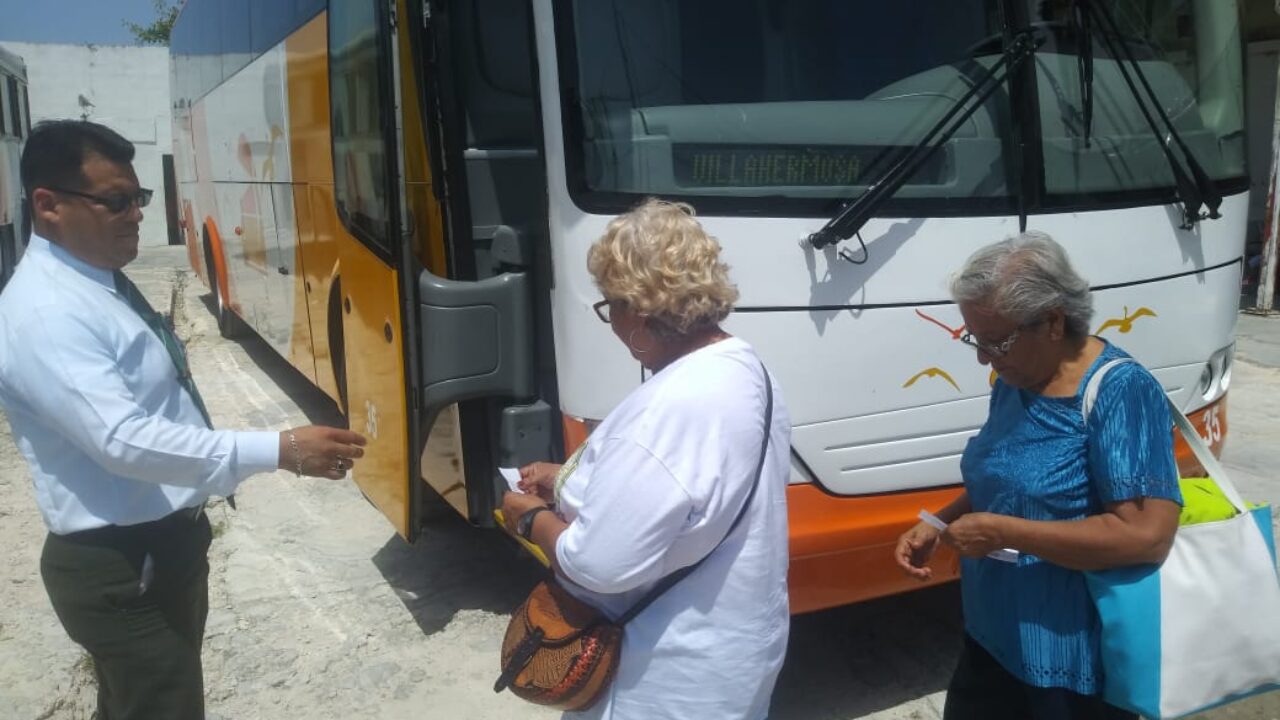 Jinetea' transporte 'pirata' servicio de Ecobús del ADO - Noticaribe