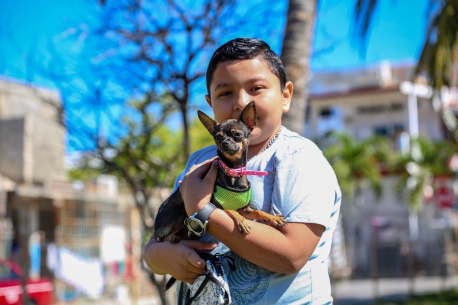 a través de la dirección de Medio Ambiente y Ecología ha puesto en marcha el programa "Tu mascota, tu responsabilidad".