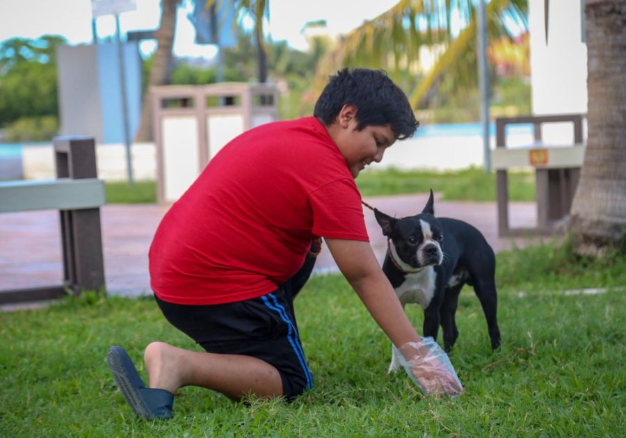 a través de la dirección de Medio Ambiente y Ecología ha puesto en marcha el programa "Tu mascota, tu responsabilidad".