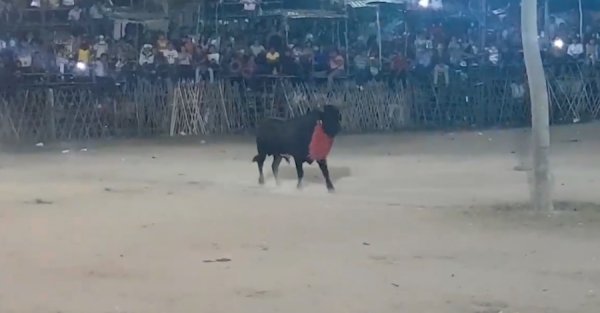 Pedro-el-Malo
