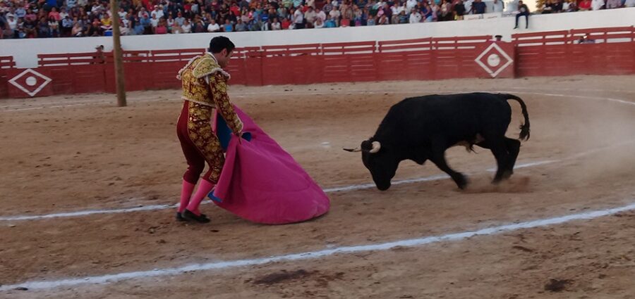 Permitirá Lázaro Cárdenas las corridas de toros en el Reglamento ...