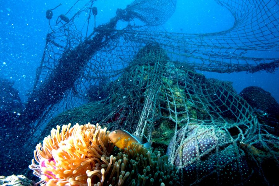 Se suma México a la Iniciativa Global contra Redes de Pesca Fantasma para  lograr que los océanos estén libres de plástico - Noticaribe