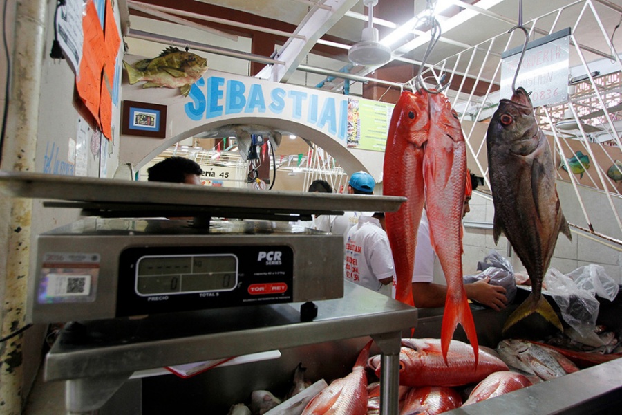 Cofepris aumenta la vigilancia por la venta de pescados y mariscos -  Noticaribe
