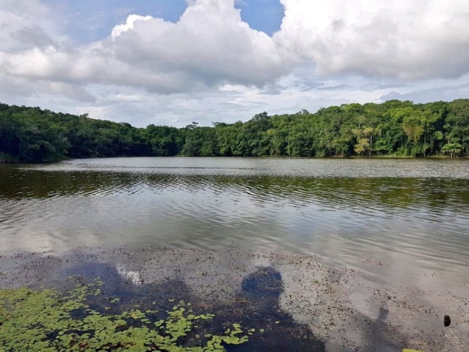 Recupera la laguna Chakanbakán su nivel de agua y se reactiva el turismo |  Noticaribe