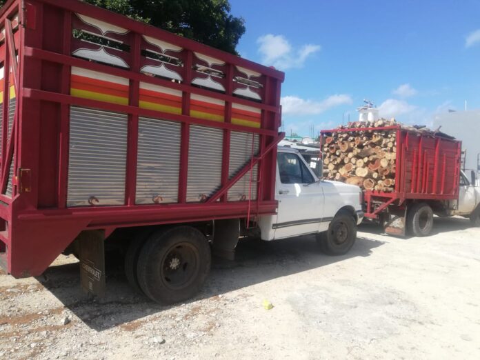 Camionetas1