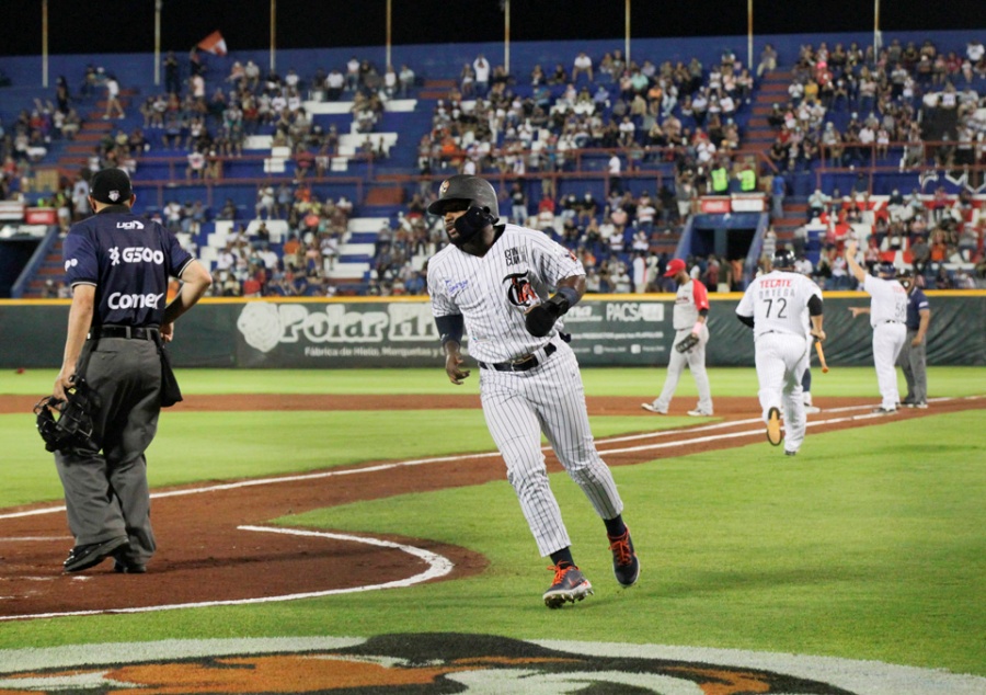 Tigres de Quintana Roo se enfrentarán a los Piratas de Campeche y Leones de  Yucatán - Noticaribe