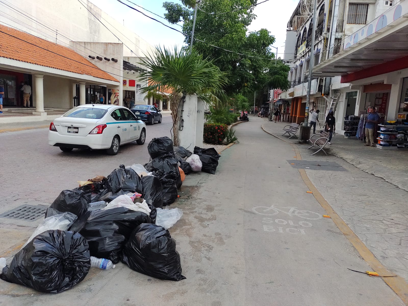 Comienza a acumularse la basura en la Quinta Avenida, ante falta del  servicio de Redesol - Noticaribe