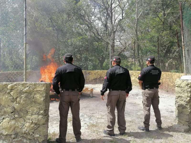 FGR y Sedena incinera narcóticos y destruye objetos del delito en Quintana  Roo - Noticaribe