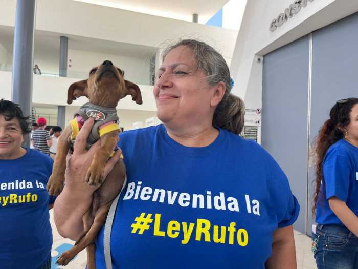 YUCATÁN | Aprueban la ‘Ley Rufo’, que permitirá sanciones de hasta 10 años de prisión por maltrato animal