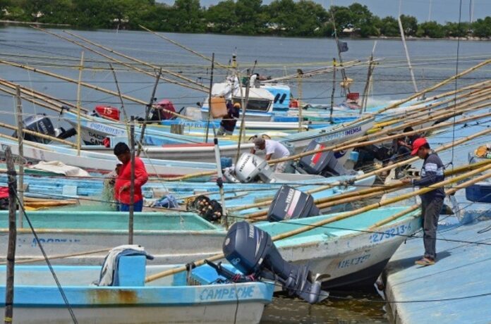 38709-sagarpa-pescadores-muelle
