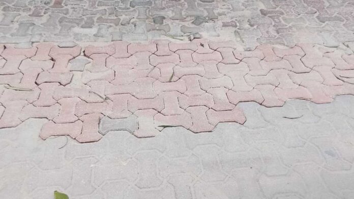 1000002832
