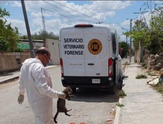 Imagen de WhatsApp 2025-04-24 a las 17.41.39_f28b6a3d