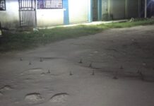 RETRASAN ‘PONCHALLANTAS’ LABOR DE ELEMENTOS POLICIACOS: Fuerte movilización por reportes de balazos en la colonia In House de Playa del Carmen