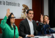 Avanza en el Senado reforma para reconocer legalmente a guías turísticos