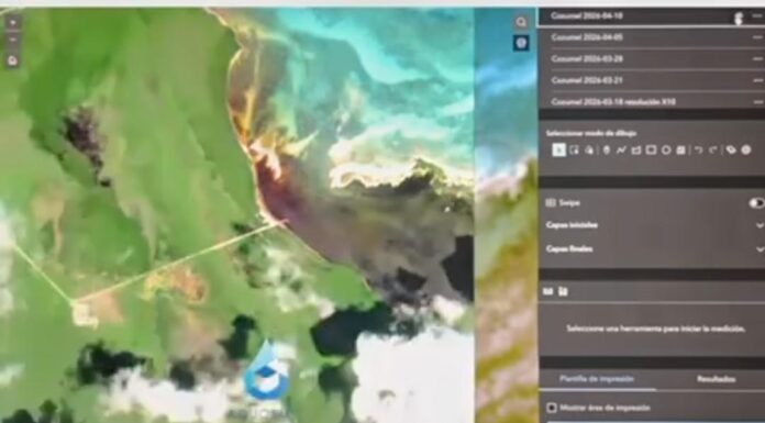 Pide Sélvame MX parar daño ambiental en la laguna Ciega de Cozumel