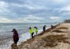 Se prepara Cancún para los meses de mayor recale de sargazo