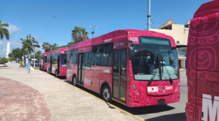 Llegan a Chetumal los primeros autobuses eléctricos para MOBI
