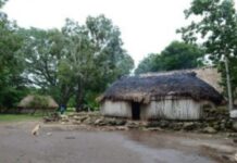 Destinarán más de 40 mdp para más de 80 comunidades mayas de Felipe Carrillo Puerto