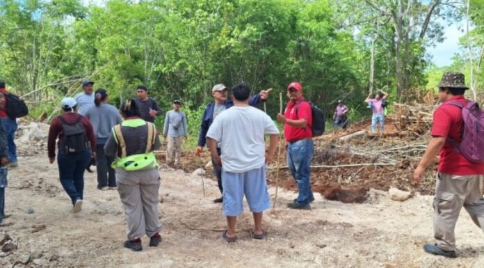 Despliegan operativo de búsqueda para localizar a hombre de 80 años en Carrillo Puerto