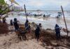 Considera COPARMEX Riviera Maya realizar mesas de trabajo para abatir el problema del sargazo