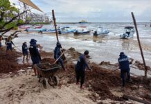 Considera COPARMEX Riviera Maya realizar mesas de trabajo para abatir el problema del sargazo