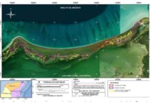 Niega SEMARNAT autorización para construcción de desarrollo turístico en Isla Grande de Holbox