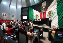 Productividad del Congreso de Q. Roo se ubica en la ‘media’, según Observatorio Legislativo; “sigue siendo sumamente costoso para los quintanarroenses, afirma