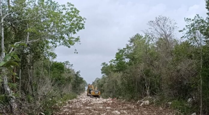 Exigen activistas frenar construcción de carretera sobre el sistema Sac Actun en Tulum; ven riesgo de contaminación para el acuífero
