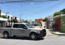 Catean casa en el fraccionamiento Andalucía de Cancún; aseguran a un perro y varios artículos