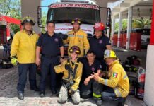 Gobierno de Estefanía Mercado promueve intercambio formativo entre Francia y Bomberos de Playa del Carmen