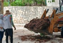 Con 10 unidades de maquinaria pesada, reforzarán recolección de sargazo en Playa del Carmen