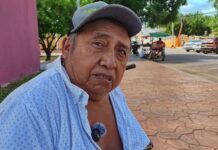 Gusano vuelve a aparecer y pone en riesgo las milpas de la Zona Maya