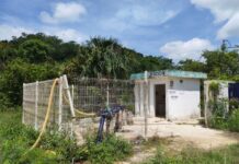 Recibo de 26 mil pesos por concepto de luz pone en aprietos a agricultores