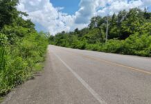 Piden atención urgente por abandono de la carretera federal en la zona maya