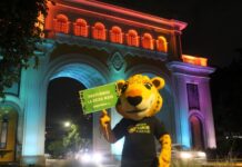 YUCATÁN | Kanan, guardían simbólico de la selva maya, llega a Guadalajara para advertir que el cambio climático también amenaza al fútbol