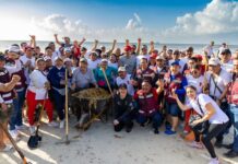 LE ECHAN MONTÓN: Más de 2 mil personas acompañan a Estefanía Mercado en mega brigada de limpieza de playas para hacer frente al sargazo