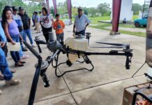 Drones agrícolas ganan terreno entre productores del sur de la Península
