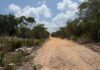 Niega Portilla que en Tulum se construya un libramiento y que tenga terrenos aledaños; es un camino sacacosecha de ejidatarios, dice; ambientalistas mantienen reclamo