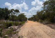 Niega Portilla que en Tulum se construya un libramiento y que tenga terrenos aledaños; es un camino sacacosecha de ejidatarios, dice; ambientalistas mantienen reclamo