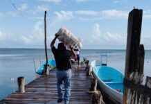 Restablece CAPA servicio de agua en Holbox, tras fuga en línea submarina