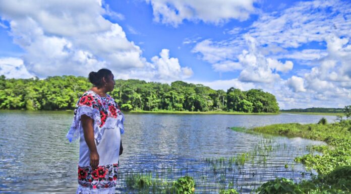 Sufre Ejido ‘Laguna Om’ su tercera expropiación para el Tren Maya de Carga