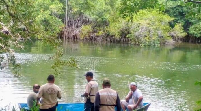 Hallan sin vida a adulto mayor reportado como desaparecido en la Ribera del Río Hondo
