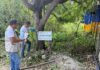 Clausuran predio por tala ilegal de árboles en la zona costera de Bacalar