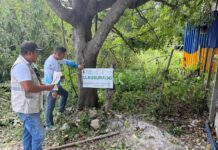 Clausuran predio por tala ilegal de árboles en la zona costera de Bacalar