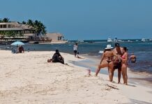 Lleva Playa del Carmen más de 20 mil toneladas de sargazo recolectadas en 2026