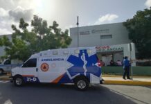 Hospitalizan a hombre con al menos 70 piquetes de abejas en Playa del Carmen