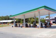 Destaca PROFECO a Quintana Roo por vender el Diesel más caro del país
