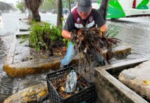 Realiza Tránsito Municipal operativo por lluvias en Cancún