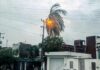 Ramas de palmera provocan cortocircuito y apagón en Chetumal